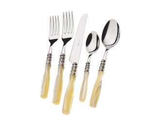 Arianna Brilliant 5 Piece Place Setting ivory