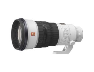 Sony FE 300mm F2.8 GM OSS
