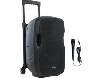 Portable Rechargeable Speaker Size 10"