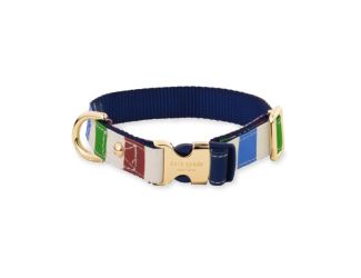 Small Dog Collar, Adventure Stripe