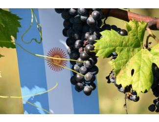 Wine Galaxy's The Taste of Argentina - 2 bottles, 1 Red & 1 White