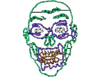 Halloween Outdoor or Indoor LED Lights, Giant Zombie Face (28 W x 41 H inches)