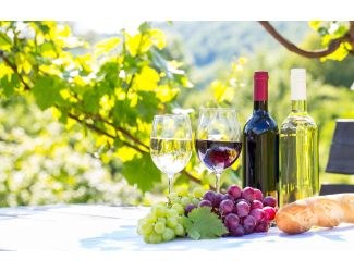Wine Galaxy's Sensual Spring Showcase - 4 bottles, 2 Red & 2 White