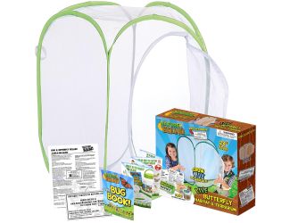 Butterfly Habitat & Terrarium Ages 6+ Years
