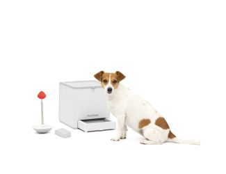 Teach & Treat Remote Reward Trainer