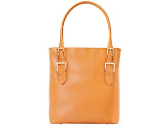 Emily Genuine Leather Tote w/ Removable Internal Padded Pouch for DSLR cameras, Lenses