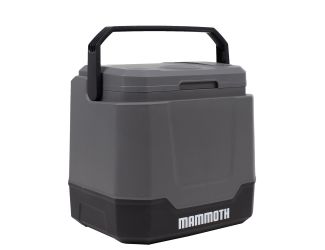 Mammoth Thermoelectric 34 Quart Cooler - Gray 12V DC - 120V AC