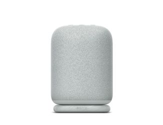 LinkBuds Portable Wireless Speaker Light Gray