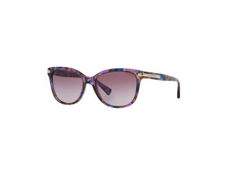 Women's HC8132 Sunglasses