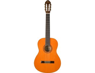 Classical 6-String Acoustic Guitar