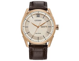 Men's Classic Eco-Drive watch, Brown Leather Strap with Ivory dial