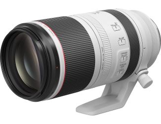 Canon RF 100-500mm f/4.5-7.1 L IS USM