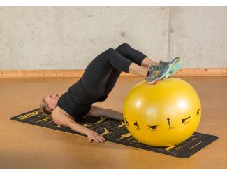 Smart Stability Ball, 55cm