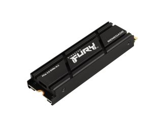 Fury Renegade 500GB PCIe Gen 4.0 NVMe M.2 Internal Gaming SSD with Heat Sink - PS5 Ready