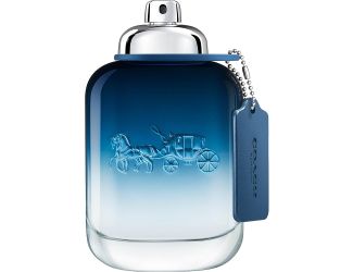 BLUE for Men Eau de Toilette Spray Size 3.4oz