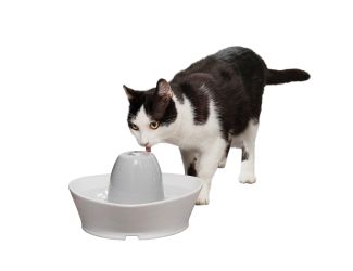 Creekside Ceramic Pet Fountain