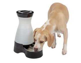Healthy Pet Water Station - Medium