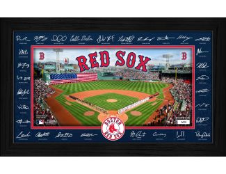 Detroit Tigers 2026 Signature Field Frame
