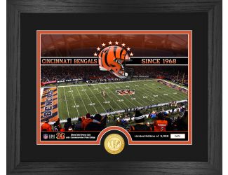 Cincinnati Bengals Stadium Bronze Coin Photo Mint