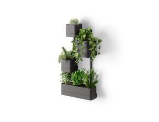 Cubiko Wall Planter Black