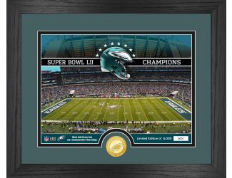 Philadelphia Eagles Stadium Bronze Coin Photo Mint