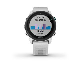 Forerunner 745, whitestone