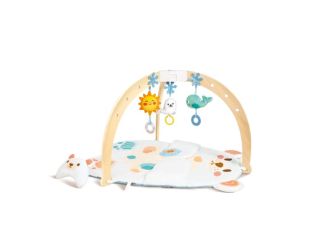 Snuggle Bear Activity Gym