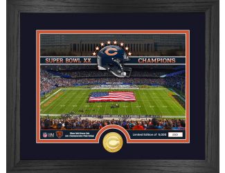 Chicago Bears Stadium Bronze Coin Photo Mint