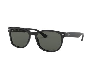Polarized RB2184 Sunglasses - Black/Green Classic G-15