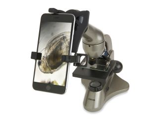 Beginner Compound Microscope with Smartphone Adapter