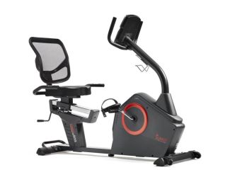 Smart Programmable Electro-Magnetic Resistance Recumbent Exercise Bike