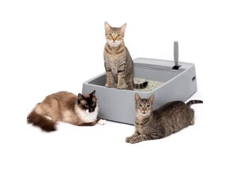 Multi-Cat Plastic Litter Box