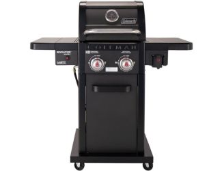 Revolution 2-Burner Gas BBQ Grill with 440-Sq. In. Total Cooking Surface, 2 Side Shelves, and Flare-