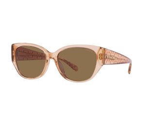 CH563 Sunglasses - Transparent Brown