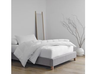 Standard Twin Pack Pillow Protector Set Size Standard