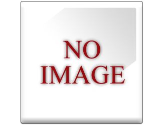 Adult Stabilizer (Training) Wheels