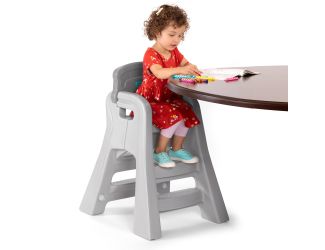 Big Kid Booster Chair