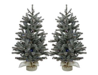 Set of Two 2-Ft. Yardville Pine Artificial Porch Trees with Burlap Bases and Battery-Operated Multi-