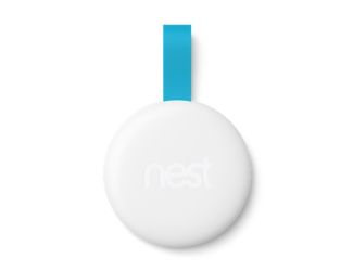 Nest Tag