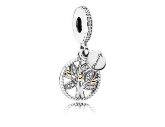 Family Heritage Dangle Charm