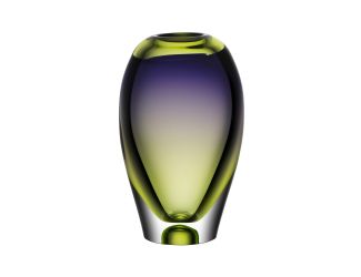 Vision Vase green and purple