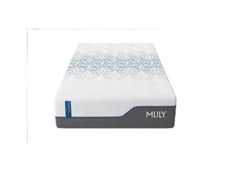 ChiroPro 3.0 13-Inch Plush Mattress - Twin XL