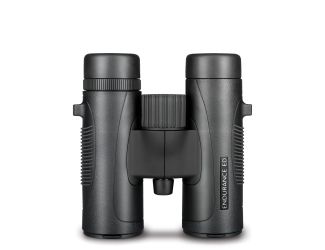 Endurance ED 8x32 Black Binoculars