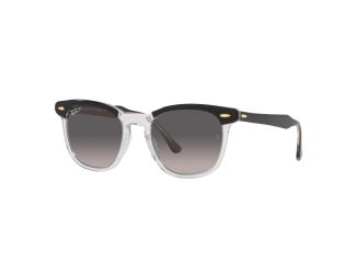 Polarized Hawkeye Sunglasses