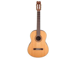 Acoustic Classical Guitar