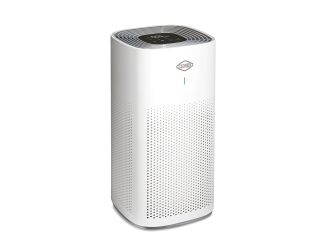 Large Room True HEPA Air Purifier
