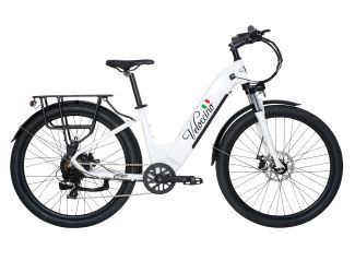 19" eBike for All Conditions