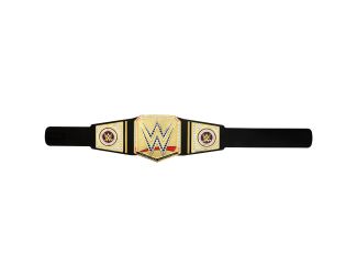 WWE Undisputed Universal Role-Play & Costume Title Belt Ages 6+ Years