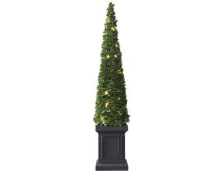 40" Boxwood Topiary Cone with Square Pot and Warm White LED Lights