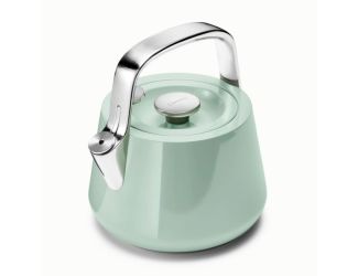 Stovetop Whistling Tea Kettle Mist